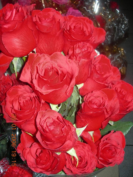 Алла Еременок