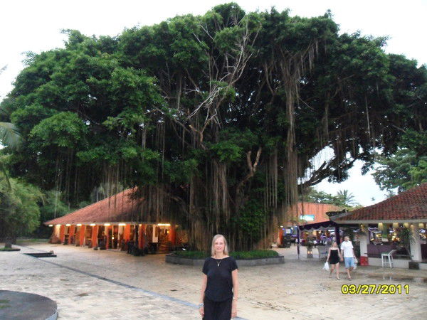 Романова Елена