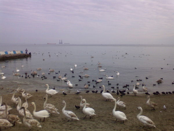 Руслан Галимуллин