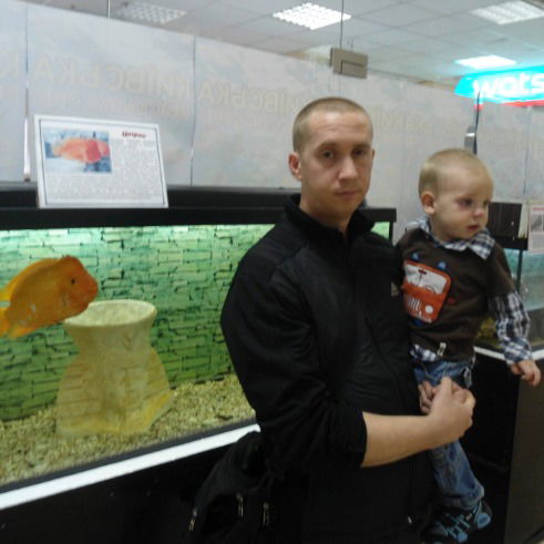 Александр Соломяный