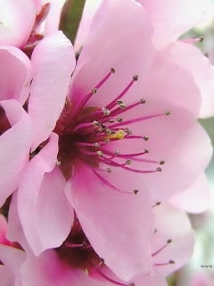 Департамент Освіти І Науки Техвідділ