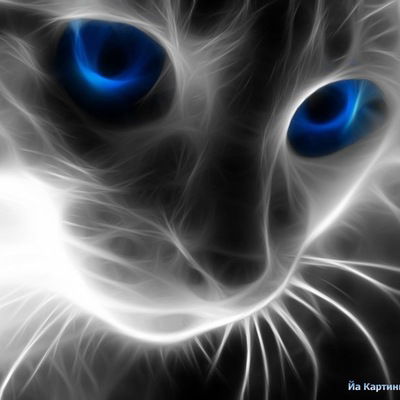 Ольга Тимакова