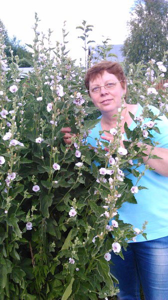 Елена Дмитриева