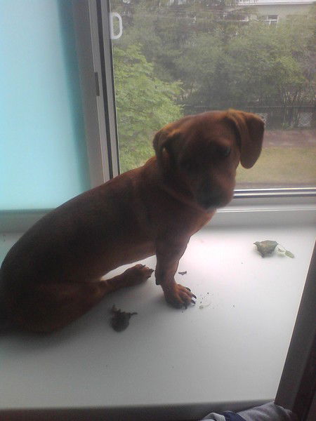 Кирилл Асылбаев