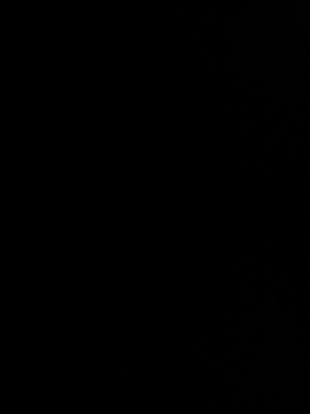 Александр Гладырев