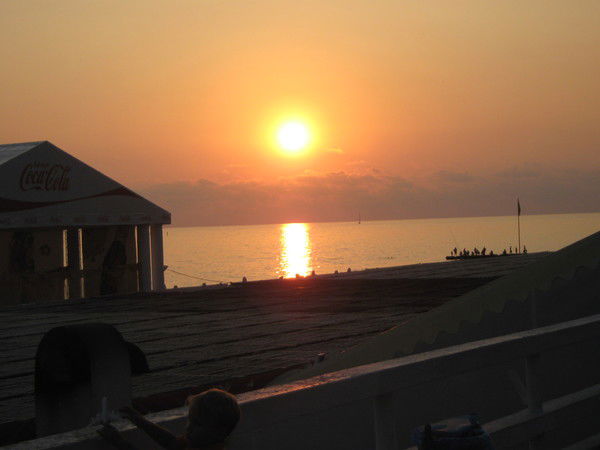 Елена Рикман