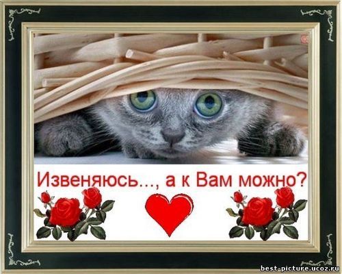 Михаил Игнатов