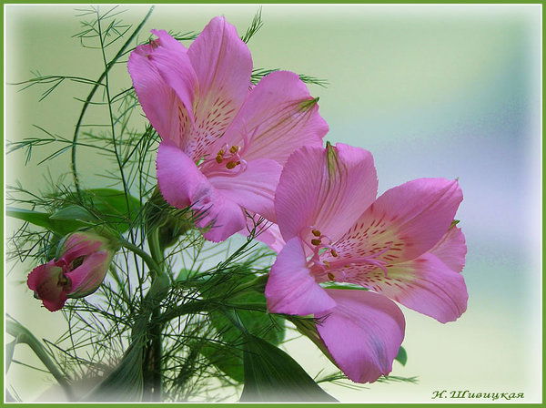 Валентина Евстигнеева