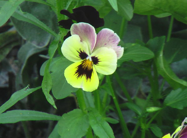 Николай Бондаренко