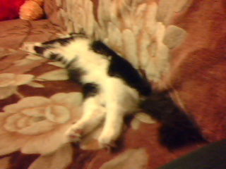 Виктор Котов