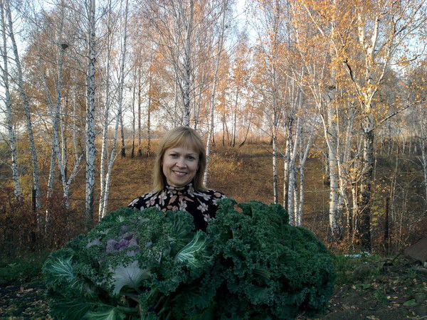 Елена Прокопова