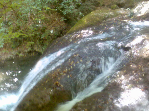 Владимир Гринь