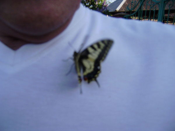 D.misha Поддубный