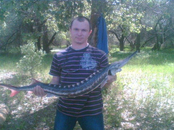 Андрей Дьячков