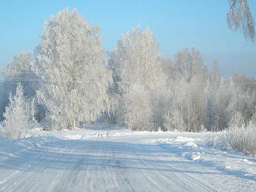 Ольга Яровая