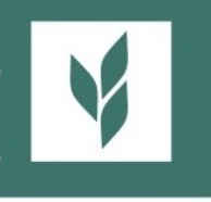 Янина Алексеевна Елинская