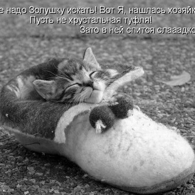 Ленка Тяпкина