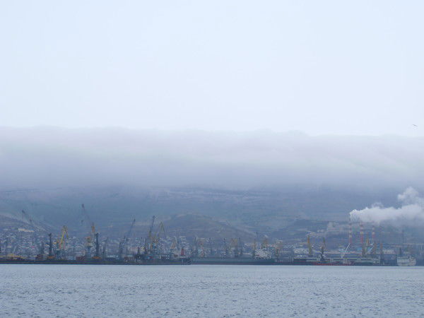 Екатерина Задорожная