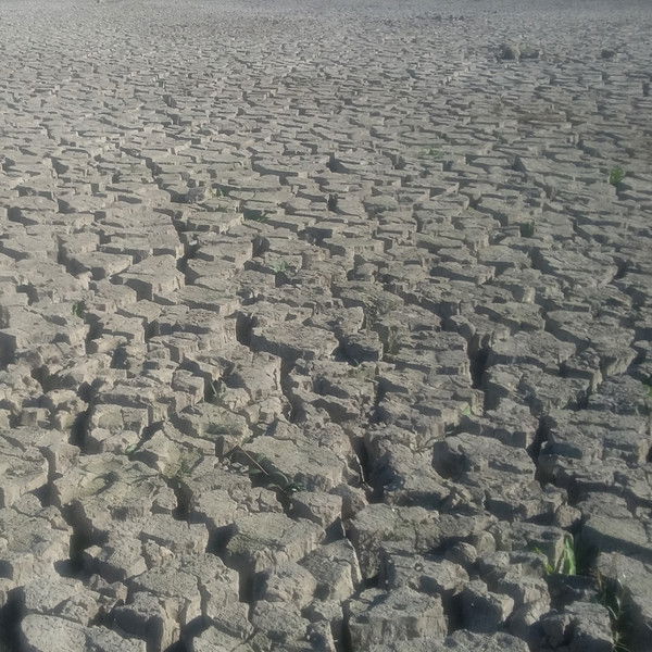 Aндpeй Ковалев