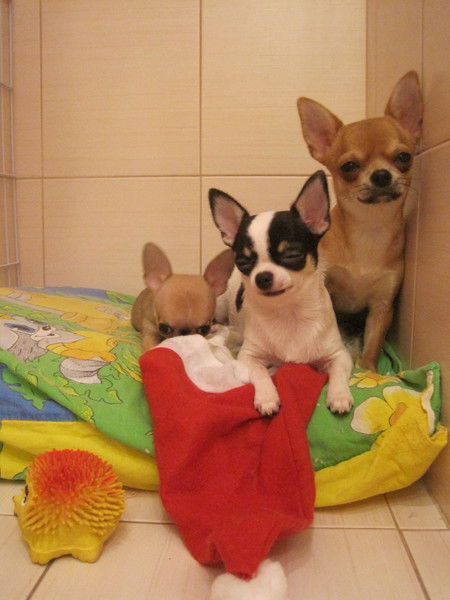 Utavik Галина Панфилова