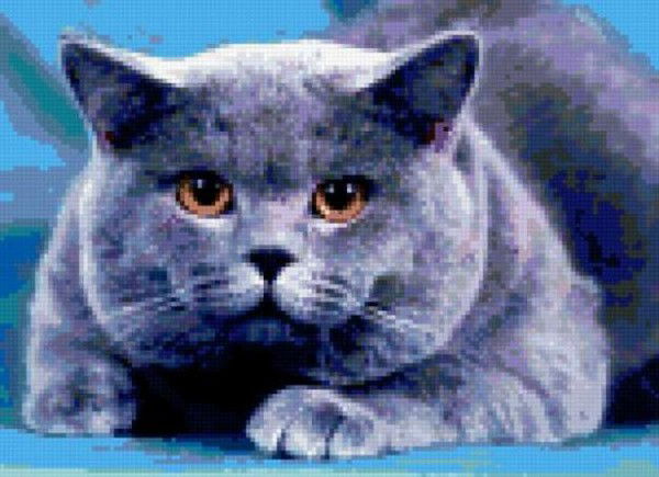 Евгений Лебедев