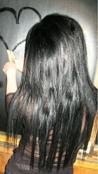 Светлана Будник