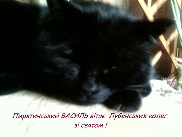 Теруправління Інспекція