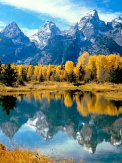 Вячеслав Ляпин