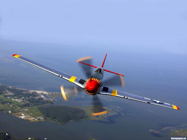 Андрей Макаренко