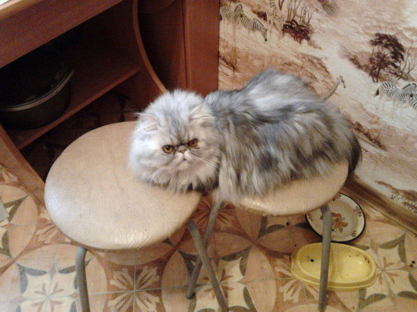 Татьяна Меньшикова