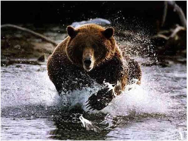 Сергеев Игорь