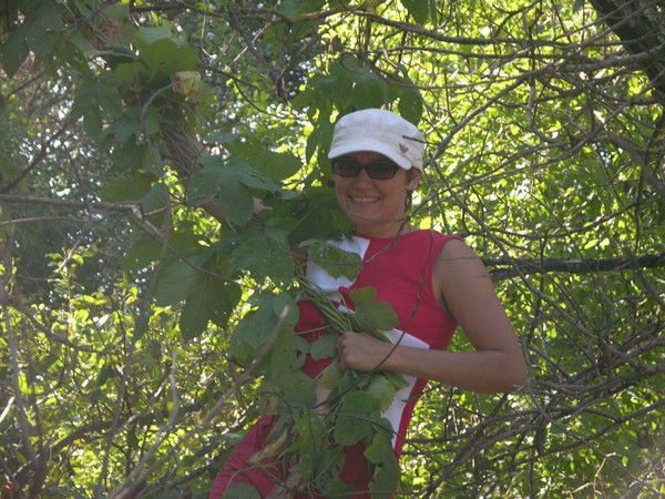 Алла Письменная