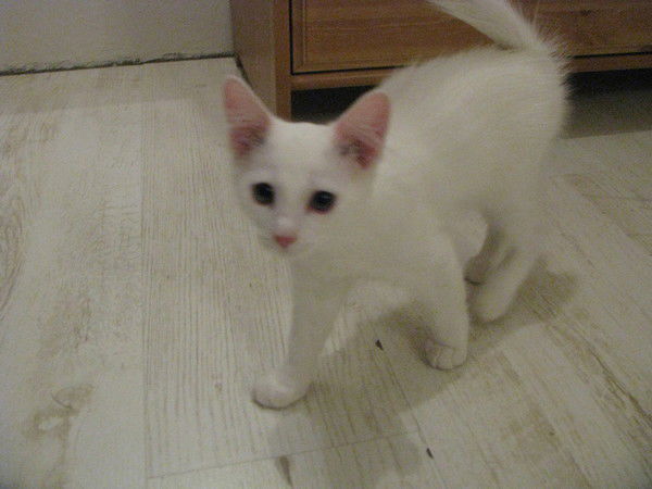 Марина Сычёва