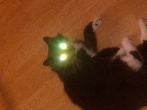 Анна Колесникова