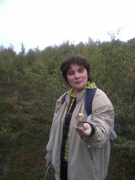 Елена Соколова