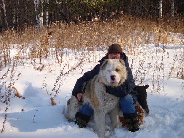 Николай Корепанов