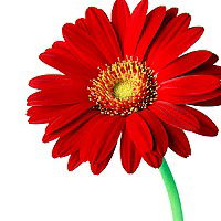 Ольга Синицына