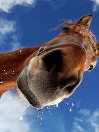 Татьяна Сабадаш