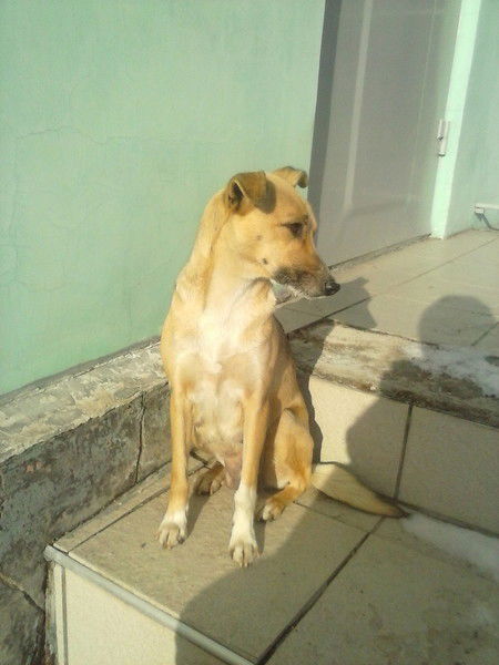 Никита(Аватария) Кожемякин