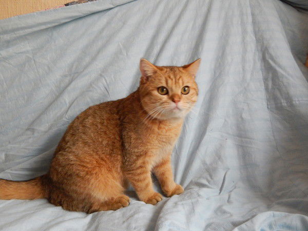 Наталья Натали