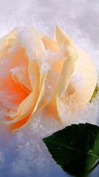 Татьяна Дядюра