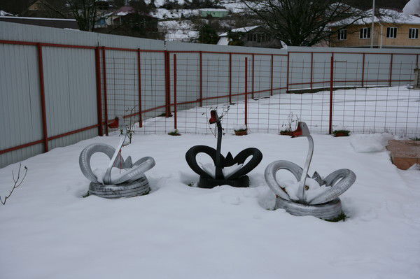 Николай Николаев