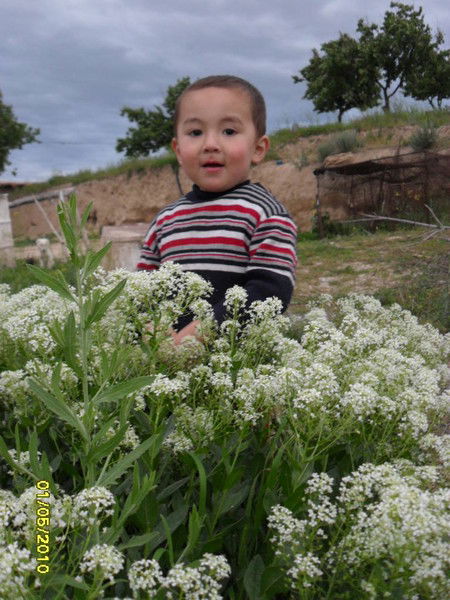 Kanishay Matkarimova