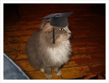 Кот Матроскин