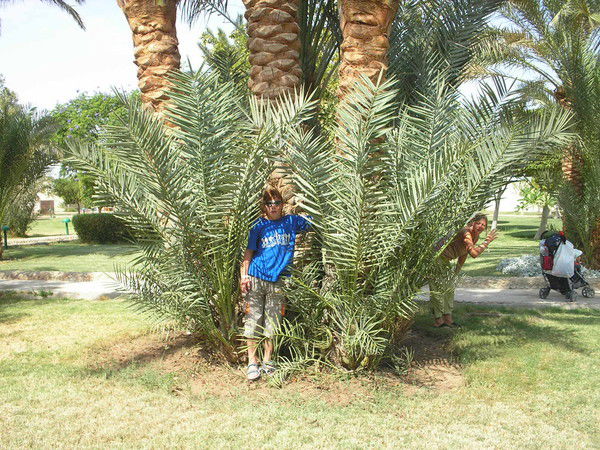 Дмитрий Подволоцкий