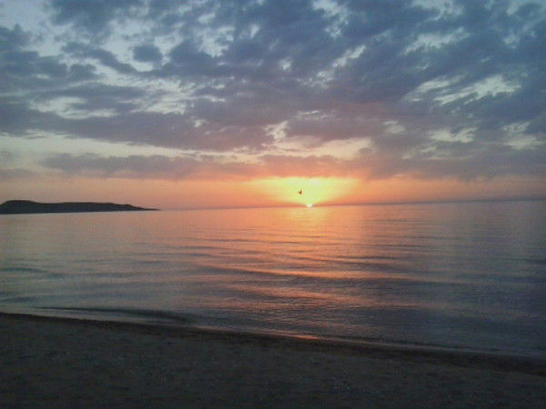 Александр Романенко