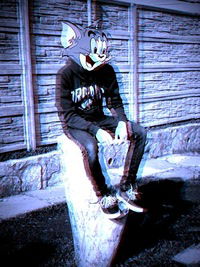 Никита Котов