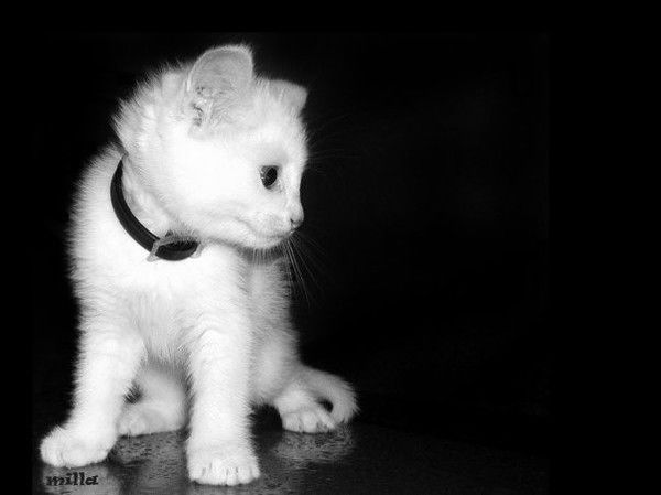 Юлия Воронина