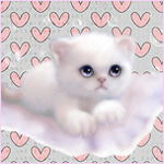 Динара Ахтанова