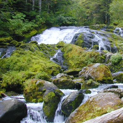 Алсу Нотфуллина